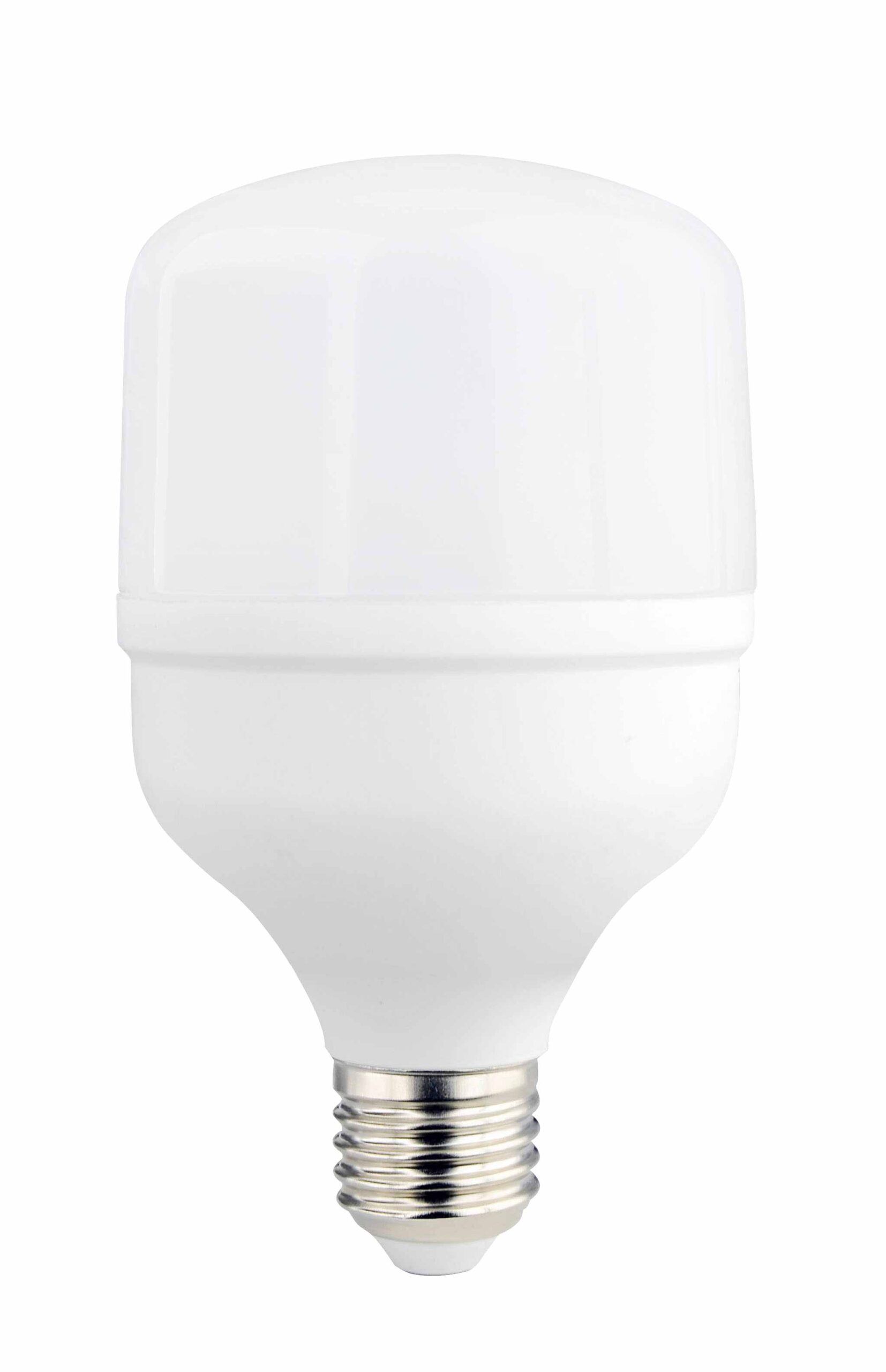 Led Λάμπα E27 T80 24W Φυσικό Λευκό