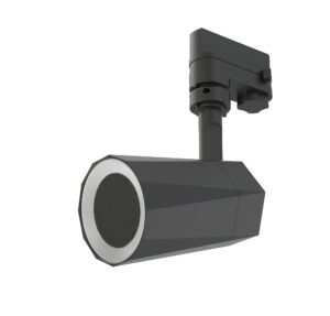 Ηχείο Bluetooth Ράγας με Led RGB + Τηλεχειρισμό