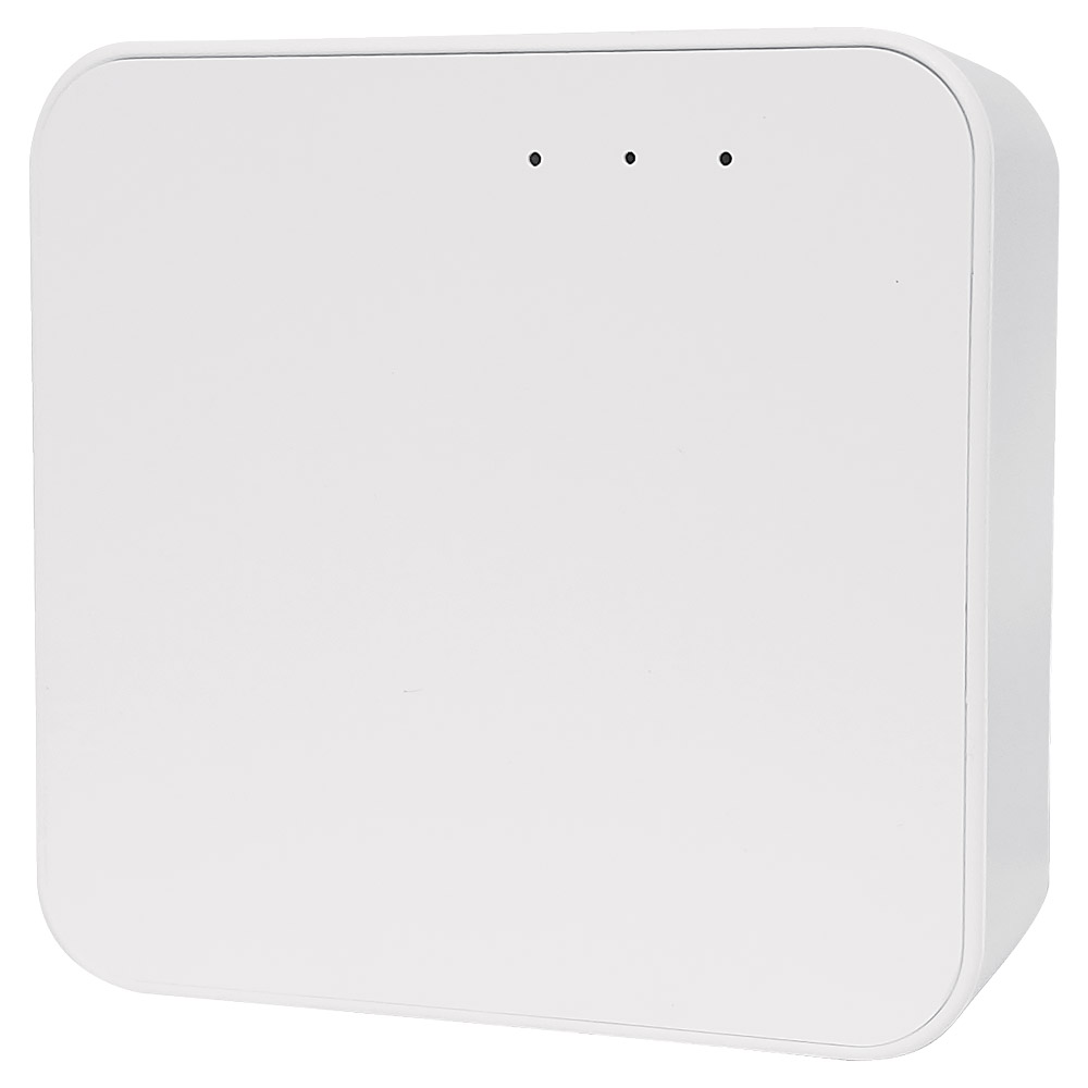 EuroSpot 2.4GHz Gateway